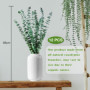 12 Pièces 45cm Eucalyptus Seches Naturel d'Eucalyptus Fleurs Séchées pour Mariage Arrangement Floral Home Deco