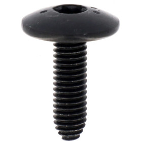 Restagraf - Vis Cylindrique Bombée Large Torx Spéciales Bouclier - Fixation Carrosserie et Pièces Mécaniques - M6-1.00 x 20 mm -