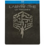 Labyrinthe : La Terre Brûlée [Édition SteelBook limitée]