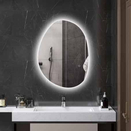 HOMCOM Miroir Salle de Bain 70 x 50 cm, Miroir Mural asymétrique, Miroir Salle de Bain avec éclairage LED - Interrupteur Tactile