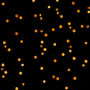 Bandes LED KSIX RGB (10 m) 46,99 €