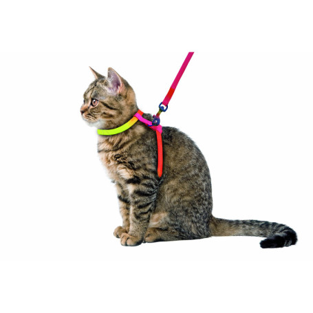 Kerbl Pet Harnais pour Chat Rainbow Multicolore, avec Laisse 120cm