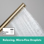 hansgrohe 24126140 Pulsify S Stabhandbrause 100 1jet EcoSmart+ Douchette à Main, Bronze brossé