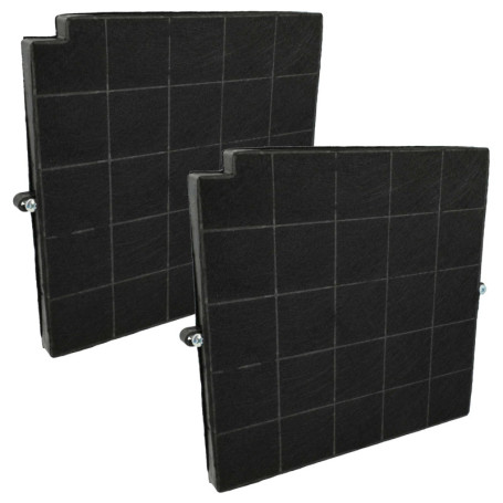 vhbw 2x Filtres à charbon actif compatible avec Arthur Martin F53 RLN 4V, F53 S4, F53 S4 60 875266 LUGO hotte aspirante - 26,5 x