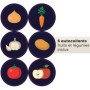 ARTECSIS Lot de 3 Boîtes de Conservation Alimentaire 5L - Vert + 6 Stickers/Fruit, Légume