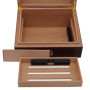 GERMANUS Humidor Cave à Cigares Heinrich avec hygromètre et Humidifier et Manuel GERMANUS Brune, 237