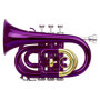 Classic Cantabile Brass TT-400 Trompette de Poche Sib (laiton, pavillon diamètre : 93 mm, perce : 11,8 mm, accord : Sib, incl. é
