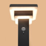 Esotec LUCCA 86 Lampadaire solaire PIR pour extérieur - Avec détecteur de mouvement - Éclairage de jardin - En acier inoxydable 