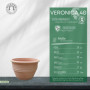 Palatina Werkstatt Pot de fleurs Veronica en terre cuite - 40 cm - 100 % terre cuite fabriquée à la main - Pour le jardin et l'i