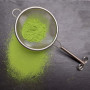 Passoire à thé Matcha Chakoshi en acier inoxydable - Passoire très fine fabriquée au Japon - Préparation du thé de cérémonie - P