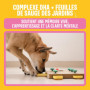 ivvi Training Friandises d’éducation pour Chien – 73% Saumon, Oméga-3 & Complexe de Sauge – Soutient la mémoire & la Concentrati