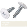 SKIR'CO Lot de 400 vis autoforeuses peintes 4,2 x 16 mm, tête de réglage modifiée Phillips Vis à tôle Tête gaufrée (400, Blanc P