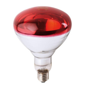 Philips 57520325 InfraRed Industrial Infrared Incandescent Reflector Lamp, Rouge, 150 W