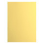 vaessen creative Florence Papier Cartonné, Jaune (Asperge), 216g, 10 Feuilles, Surface Lisse, pour Peindre, Scrapbooking et plus