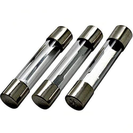 LED-Mafia Lot de 10 fusibles en verre Flink 6 x 30 mm 5 A 10 A 15 A 20 A 25 A 30 A 250 V