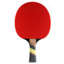 Cornilleau - Excell 2000 - Raquette de ping Pong d'intérieur pour Jouer en compétition Off/Off+ - revêtement ITTF 6 étoiles