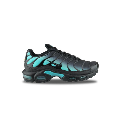 Nike Air Max Plus Dusty Cactus Dm0032-016