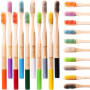 Lot de 20 brosses à dents en bambou à poils durs pour adultes - Ensemble familial - Brosse à dents bio naturelle (multicolore 20