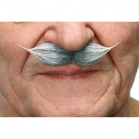 Moustache My Other Me Gris 30,99 €