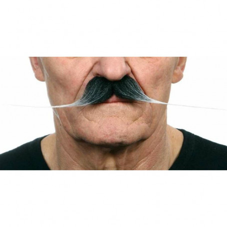 Moustache My Other Me Gris 31,99 €