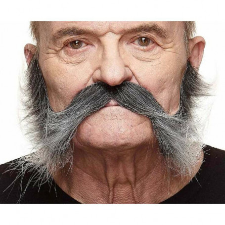 Fausse barbe My Other Me Gris 35,99 €