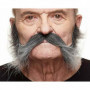 Fausse barbe My Other Me Gris 35,99 €