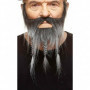 Fausse barbe My Other Me Gris 43,99 €