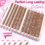 240 Pcs Brown DIY Extensions de cils Set 0.07D Cils Uniques Faux cils individuels Cluster avec colle à cils et pince à épiler po