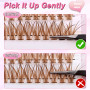 240 Pcs Brown DIY Extensions de cils Set 0.07D Cils Uniques Faux cils individuels Cluster avec colle à cils et pince à épiler po