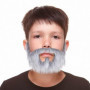 Fausse barbe My Other Me Gris 37,99 €