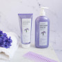 Masque Matifiant Violet Clearé Institute - Neutralise les Tons Indésirables pour Cheveux Blonds et Gris - 200ml