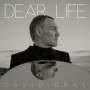 David Gray - Dear Life (Album CD) 19,21 €