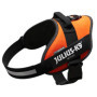 Harnais IDC Power Julius K-9 pour Chien - Taille 2, Orange Fluo
