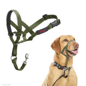 Licol Halti Vert Forêt pour Chien - Anti-Traction et Confort Optimal