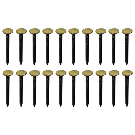 Clous en Acier avec Tête en Laiton pour Fixation Décorative - 20 pièces