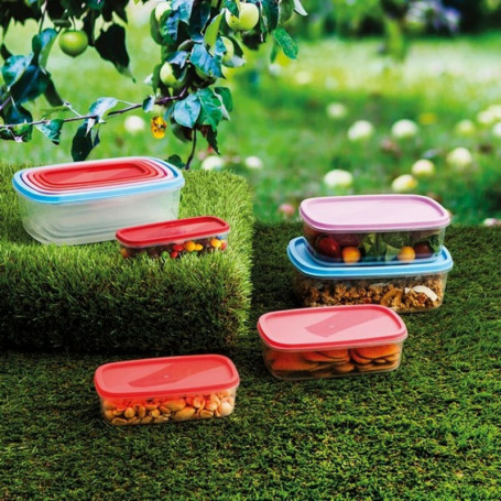 Ensemble de 5 Boîtes à Lunch Quid Habitat Plastique 19,99 €