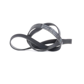 Courroie trapézoïdale ContiTech 6PK1570 pour voitures
