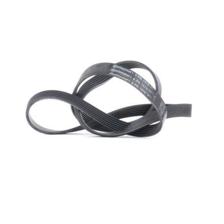 Courroie trapézoïdale ContiTech 6PK1570 pour voitures