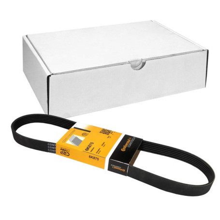 Courroie Trapézoïdale à Nervures ContiTech 6PK875 pour Voiture