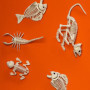 Squelette de Poisson Factice Boland - Décoration Halloween 24 cm