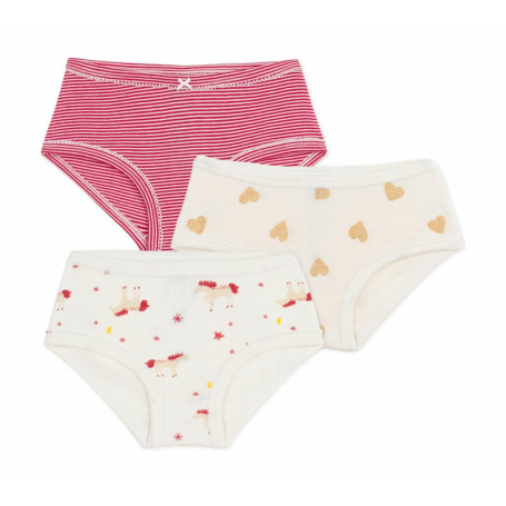 Lot de 3 Culottes Fille Petit Bateau - Confort et Élégance Multicolore