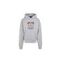 Sweat à Capuche AMERICAN COLLEGE USA pour Enfants - Modèle ACSW232 Gris 12 Ans