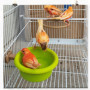 Baignoire Suspendue pour Oiseaux - Accessoire de Bain Pratique