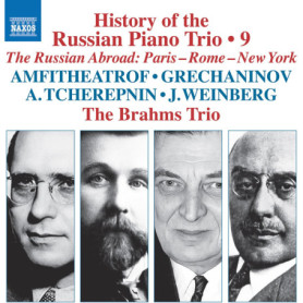History of The Russian Piano Trio, Volume 9 - Classique Émotionnel
