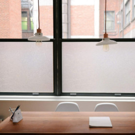 Film de Protection de Vie Privée TRIXES - Effet Verre Dépoli pour Fenêtres et Portes - 45 x 200 cm 28,31 €