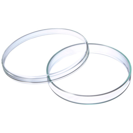 Boîtes de Petri en Verre Transparent - Lot de 5 - 100 mm x 15 mm 25,27 €