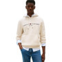 Sweat à Capuche Tommy Hilfiger pour Homme - Style Décontracté et Élégant