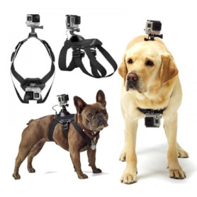 Harnais GoPro pour Chien Réglable et Confortable - Idéal pour Tous les Chiens