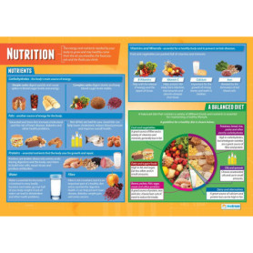 Affiche Éducative sur la Nutrition - A1 Laminée pour Salle de Classe