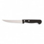 Couteau à viande Amefa Métal Bicolore (21 cm) (Pack 12x) 20,99 €